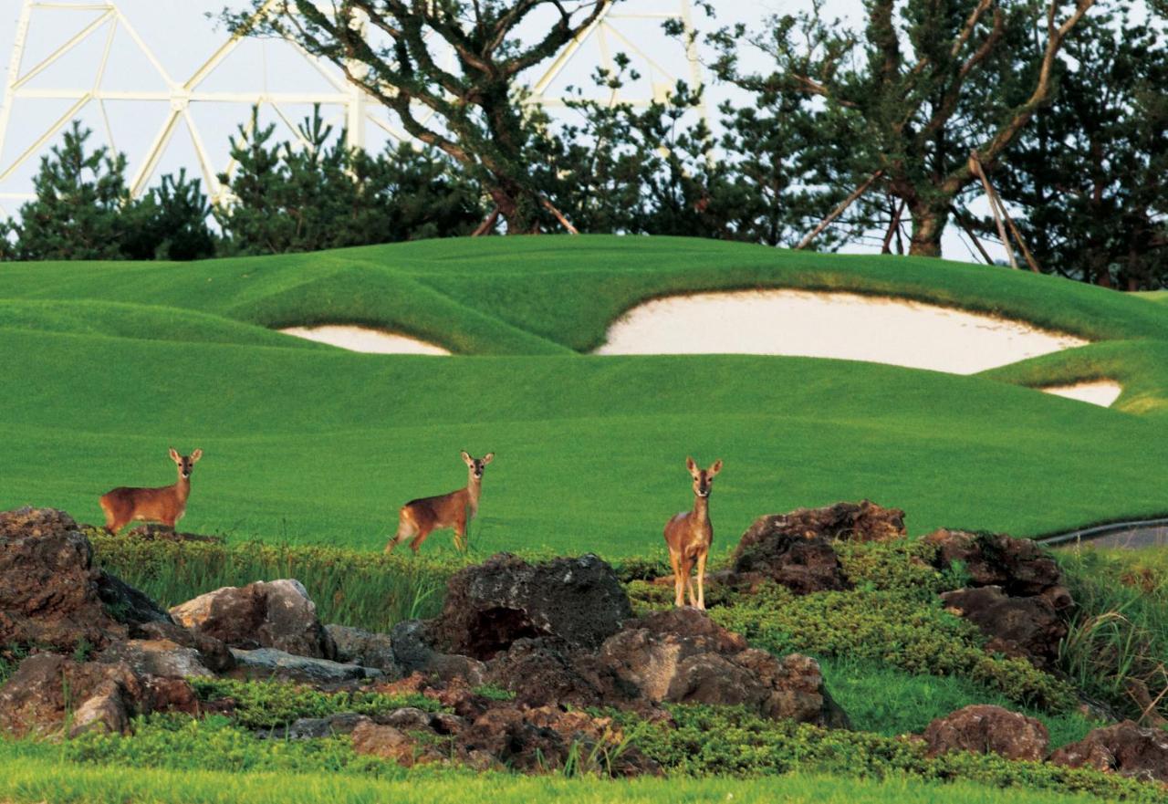 Ardenhill Resort & Golf Jeju Buitenkant foto